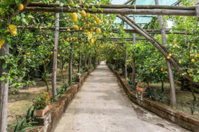 Romantic Garden Sorrento